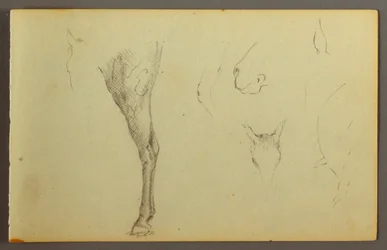 Dessin, Études de chevaux, peut-être 1844