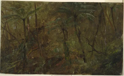 Dessin, Dans les bois de Jamacia, Antilles, 1865