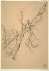 Dessin, campement indien, Grand Manan, baie de Fundy, septembre 1851