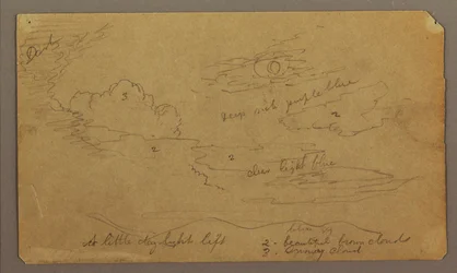 Dessin, paysage ; verso : croquis botaniques, 1865