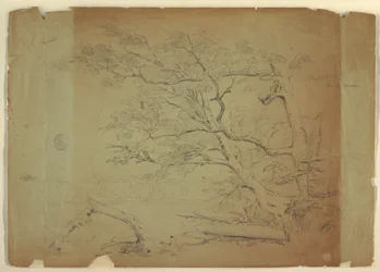 Dessin, Paysage avec des arbres et un ruisseau [ ], île de Grand Manan, Canada, septembre 1851