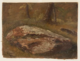 Dessin, Mossy Rock, août 1845