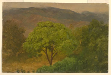 Dessin, paysage de montagne, août 1865