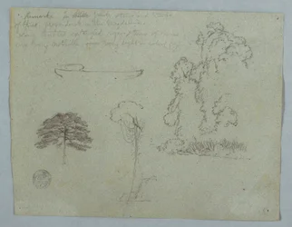 Dessin, Études de la nature du Rio Magdalena, Colombie :  Arbres, lianes et canoë, mai 1853