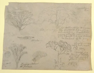 Dessin, série d