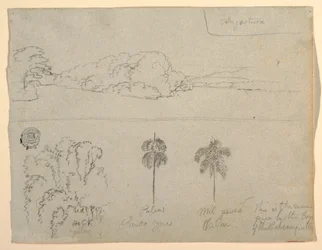 Dessin, Croquis de Colombie :  Rives d