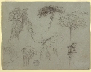 Dessin, Études d