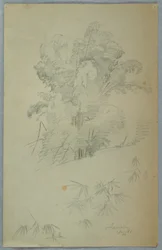 Dessin, Études d