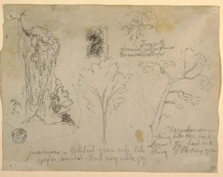 Dessin, Études d