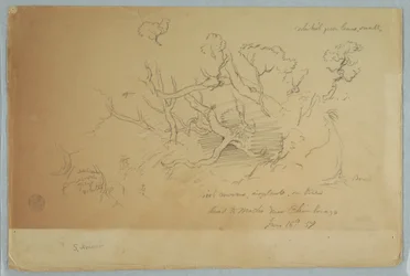 Dessin, Études d