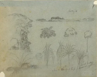 Dessin, Étude avec des cimes d