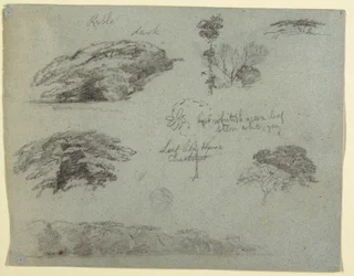 Dessin, Arbres, cimes des arbres et banc boisé, Saddleback, Maine, 1853