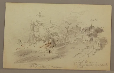 Dessin, arbres, peut-être années 1860