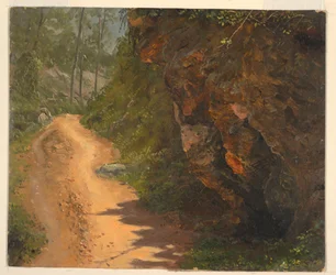 Dessin, Woodland Path, Jamaïque, juin 1865