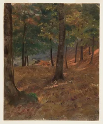 Dessin, scène de forêt, 1870-80