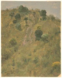 Paysage, Jamaïque