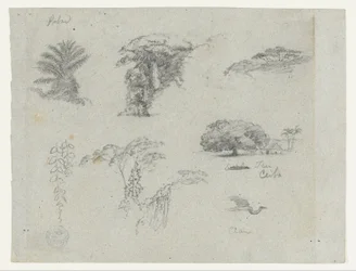 Croquis d