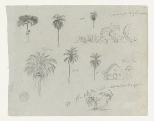 Croquis du Rio Magdalena, Colombie.  Croquis botaniques. Une église.  Similaire à -103.