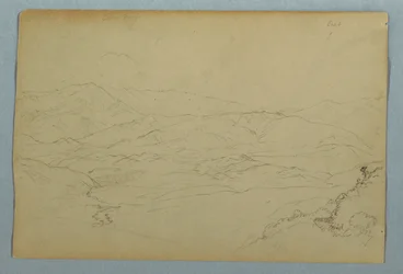 Croquis de plantes et d