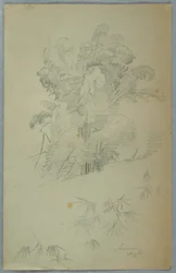 Études d