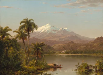 Palmiers de Tamaca, 1854