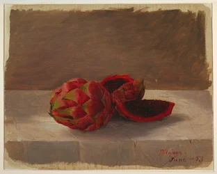 Le fruit Pitajaya, Colombie