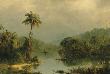 Paysage tropical