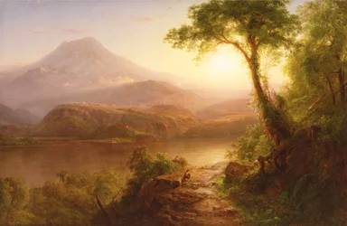 Paysage tropical : paysage sud-américain