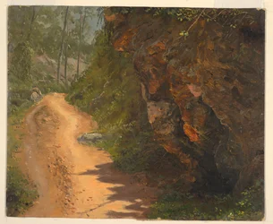 Chemin forestier, Jamaïque