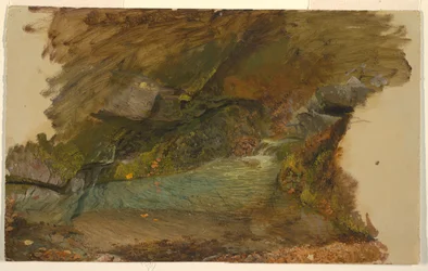 Ruisseau forestier