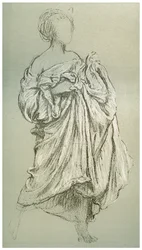Étude de Daphnephoria, vers 1880-1882