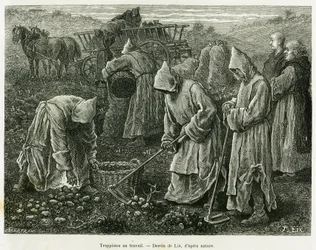 Trappistes au travail. Gravure par Lix pour illustrer l