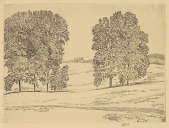 Hickories dans un champ de foin, 1917