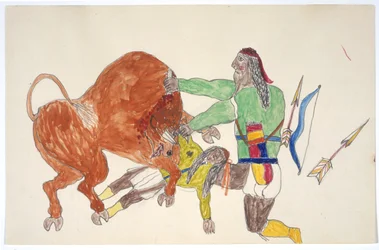 Bison piétinant un homme