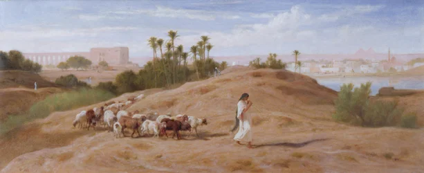 Un berger de chèvres près du Caire