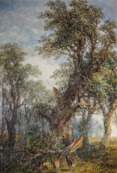 La Branche Cassée, 1881