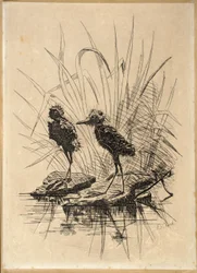 Deux oiseaux