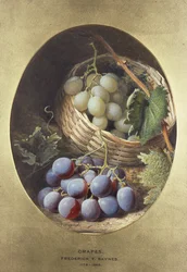 Raisins rouges et blancs
