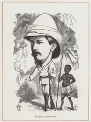 H M Stanley, Il a trouvé Livingstone