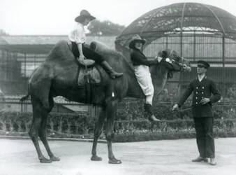 Deux cowgirls posent sur un chameau de Bactriane, tenu par son gardien, lors d