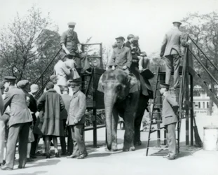 Visiteurs faisant la queue pour une promenade à dos d