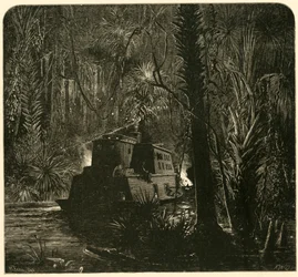 Ascension de la rivière Ocklawaha la nuit, 1872