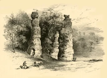 Tours naturelles