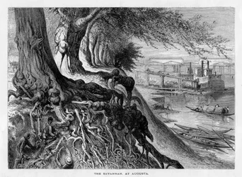 La Savannah, à Augusta, 19ème siècle