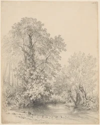 Arbres près de la rivière à Castle Bromwich