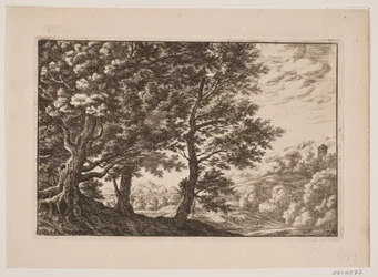 Paysage montagneux avec grands arbres