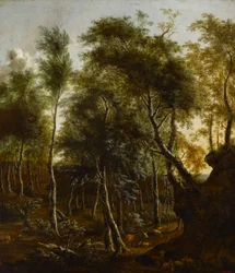 Un paysage boisé