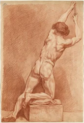 Un homme nu vu de dos
