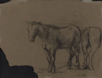 Chevaux