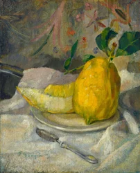 Melon et citron